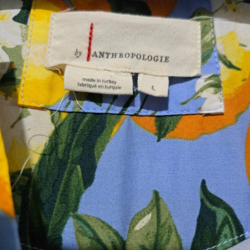 Anthropologie Maxi Dress